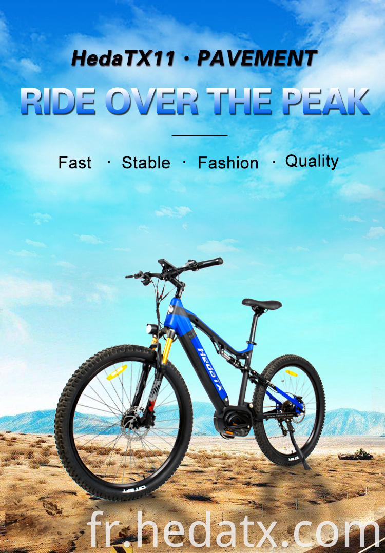 Mountain Electric Bike